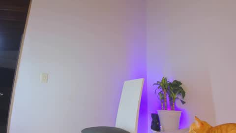 misspaulag online show from February 14, 12:41 am