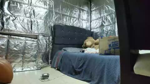 Snapshot of missstres_scarleth chatting on November 24, 2:55 am SCARLETH online show from November 24, 2:55 am