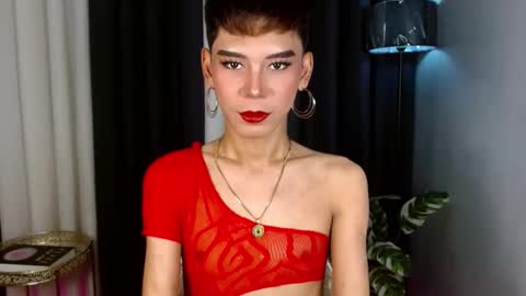 Stella online show from September 21, 8:27 am