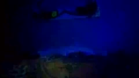 Snapshot of mjmckenz55 chatting on October 14, 11:05 pm Daddy720 online show from October 14, 11:05 pm