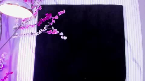 MONIK FOX online show from November 17, 7:41 pm