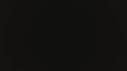 Monroe online show from April 11, 7:45 am