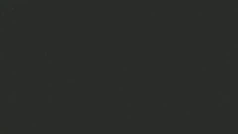 mookie2 online show from November 8, 9:20 am