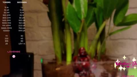 Luna  online show from February 14, 4:20 pm