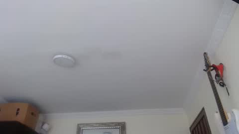 Abelardo online show from January 12, 3:28 pm