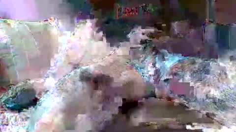 Snapshot of morboso2563 chatting on November 21, 10:30 pm morboso2563 online show from November 21, 10:30 pm