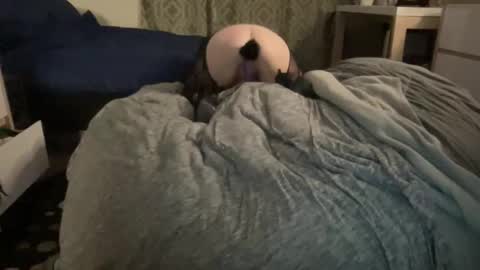 The Honey Pot  Pooh Bear online show from February 17, 9:28 am