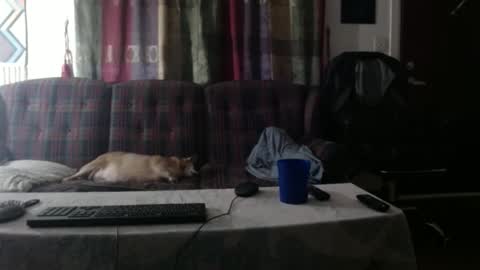 Snapshot of mr_happy12 chatting on September 23, 1:19 am mr_happy12 online show from September 23, 1:19 am