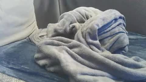 Snapshot of mranal93 chatting on February 15, 5:28 pm mranal93 online show from February 15, 5:28 pm