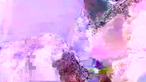 Mr boom online show from June 5, 10:21 am