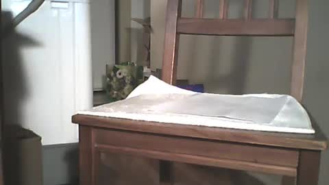 Snapshot of mrroarke chatting on December 29, 3:44 am Longshot online show from December 29, 3:44 am