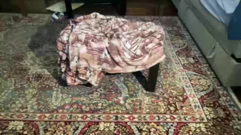 Snapshot of much_fun1 chatting on February 1, 3:21 pm much_fun1 online show from February 1, 3:21 pm