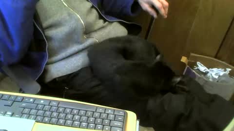 muller520 online show from February 21, 4:48 pm