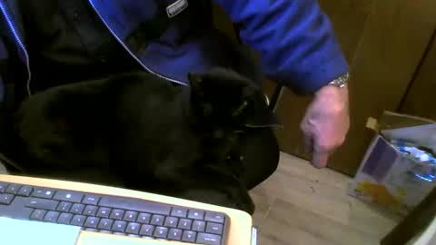 muller520 online show from February 27, 5:26 pm