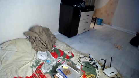 Snapshot of muse_online chatting on December 21, 10:17 am Muse Ali online show from December 21, 10:17 am