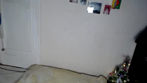 Snapshot of muse_online chatting on December 31, 11:09 am Muse Ali online show from December 31, 11:09 am