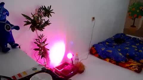 Snapshot of muse_online chatting on December 31, 5:18 pm Muse Ali online show from December 31, 5:18 pm