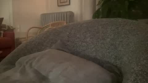 Snapshot of muslgut chatting on February 16, 3:04 am muslgut online show from February 16, 3:04 am