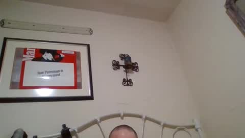 mustang2020gt123 online show from February 4, 11:27 am