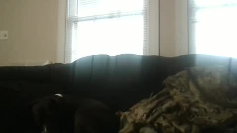 Snapshot of my_banana_creampies chatting on February 19, 1:51 pm my_banana_creampies online show from February 19, 1:51 pm