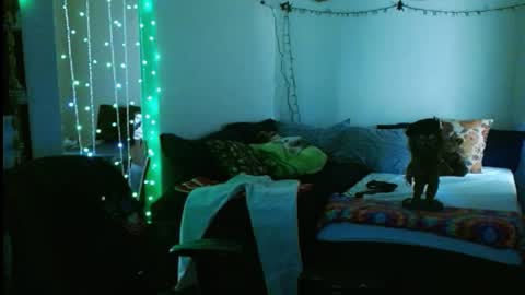 Snapshot of mycock4u247 chatting on February 16, 10:10 pm LA MARIPOSA DE MARICOPA online show from February 16, 10:10 pm