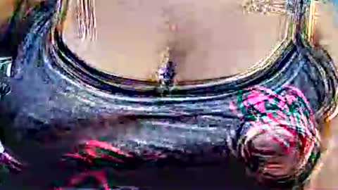 myhoney_hot online show from February 21, 12:28 pm