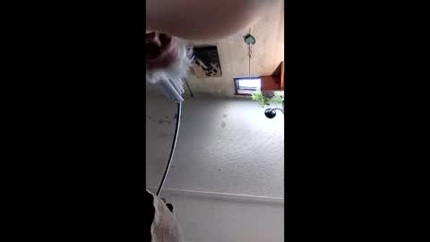 Mynutts online show from December 16, 3:06 pm