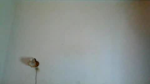 Reily online show from May 13, 7:28 am