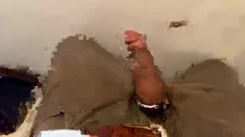 nairda2senoniuq online show from March 8, 6:47 pm