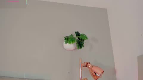 INSTAGRAM  m2221     online show from February 9, 10:52 am