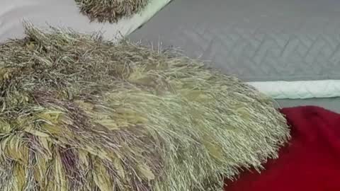 Snapshot of naomy_smithx chatting on December 13, 11:06 pm Naomy Smith online show from December 13, 11:06 pm