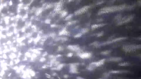 nastysubs69 online show from December 20, 9:49 am