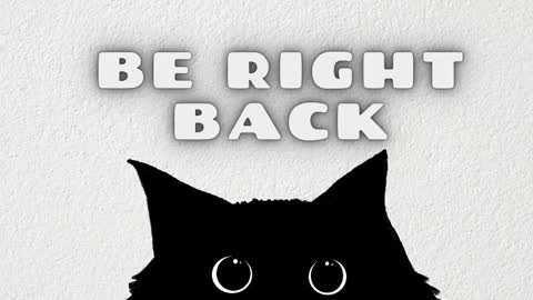 Nataly online show from February 3, 11:37 am