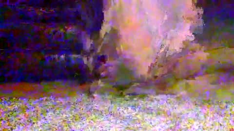 Snapshot of naughty__hotty chatting on March 15, 7:25 am naughty__hotty online show from March 15, 7:25 am