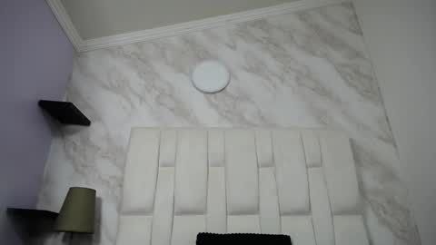 Kitten online show from February 12, 10:35 am