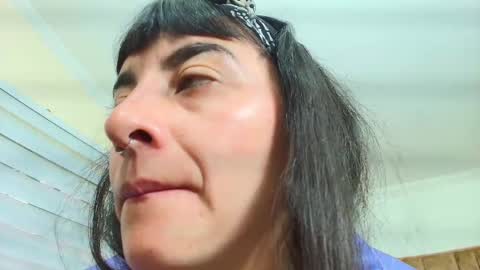 Kitten online show from September 30, 11:37 am