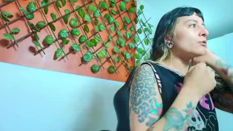 Kitten online show from April 11, 10:52 am