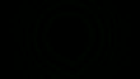 Sebastian online show from November 9, 5:55 pm