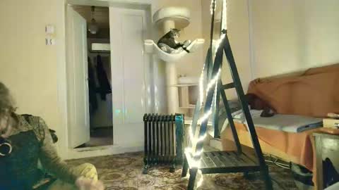 Snapshot of nessieanalemma chatting on February 5, 12:43 pm nessieanalemma online show from February 5, 12:43 pm