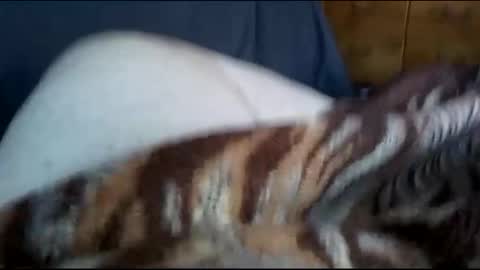 Snapshot of neverseentthatb4 chatting on December 1, 7:36 pm Matt online show from December 1, 7:36 pm