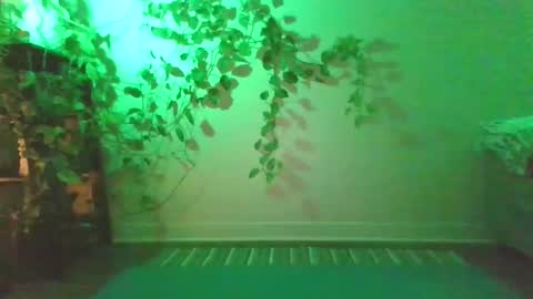 Snapshot of new__moon chatting on December 27, 10:48 pm luna online show from December 27, 10:48 pm