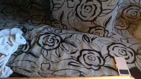 Lilly  online show from April 8, 4:07 pm