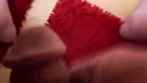 BookWriter online show from December 2, 6:09 am