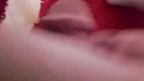 BookWriter online show from December 5, 7:49 am