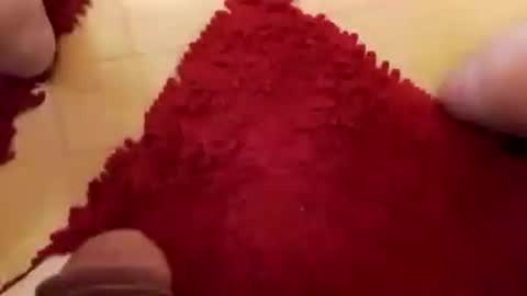 BookWriter online show from December 7, 8:33 am