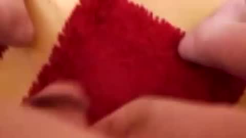 BookWriter online show from December 8, 7:05 am