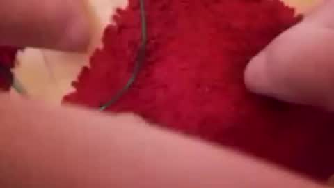 BookWriter online show from December 16, 8:20 am