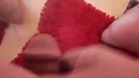 BookWriter online show from December 20, 8:17 am