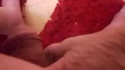 BookWriter online show from January 8, 6:52 am