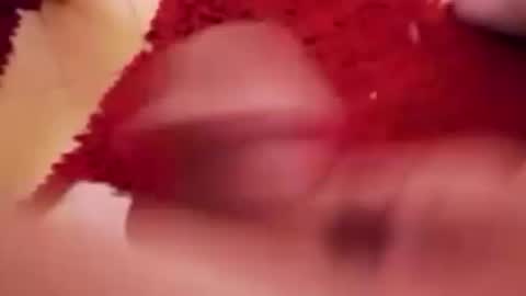 BookWriter online show from January 18, 6:56 am